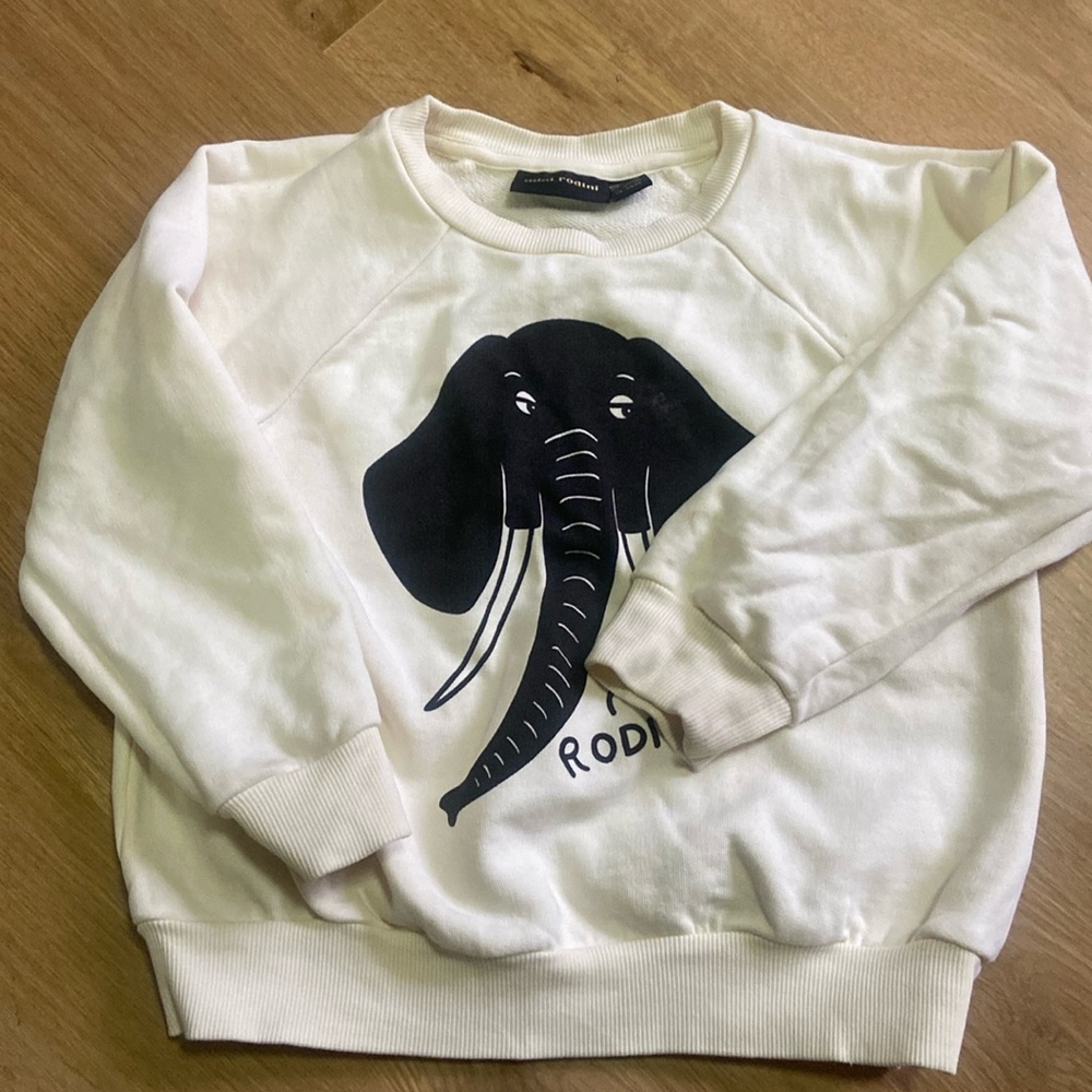 COPY - Mini Rodini sweater